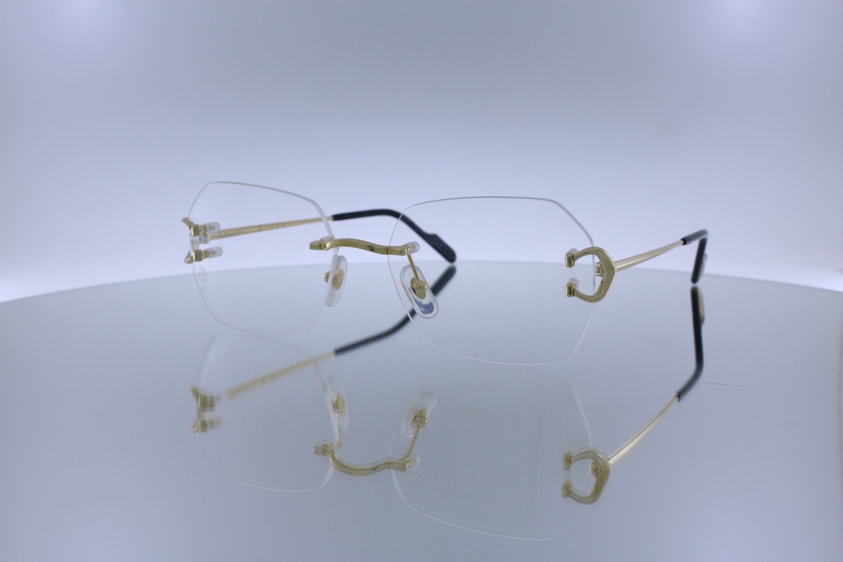 Cartier - CT0682S
